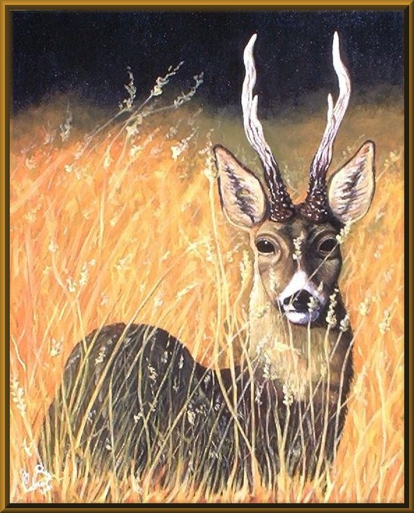 Il capriolo