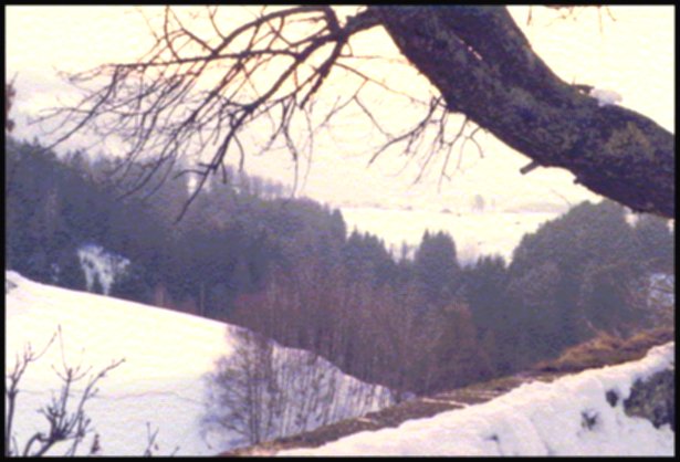 Paesaggio nivale